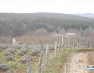 Maison 6 chambres à vendre dans Savadisla