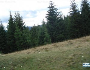 Terrain à vendre dans Belis