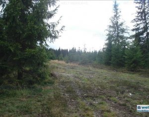 Terrain à vendre dans Belis