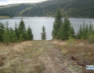 Terrain à vendre dans Belis
