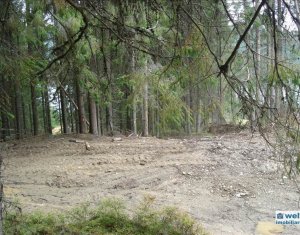 Terrain à vendre dans Belis