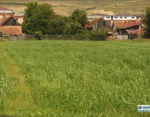 , 1750m2 dans Floresti