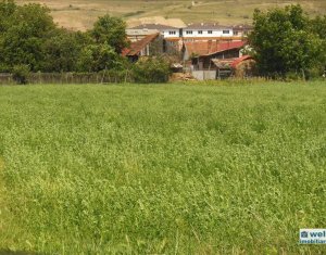 Terrain à vendre dans Floresti
