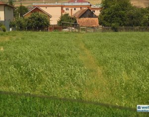 Terrain à vendre dans Floresti