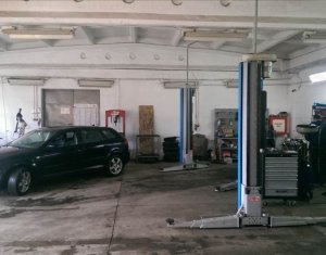 Espace Industriel à vendre dans Cluj-napoca