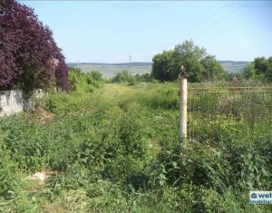 Terrain à vendre dans Floresti
