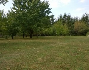 Telek eladó on Feleacu