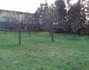 Telek eladó on Feleacu