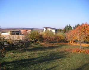 Telek eladó on Feleacu