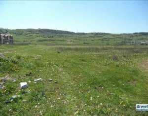 , 3800m2 on Floresti