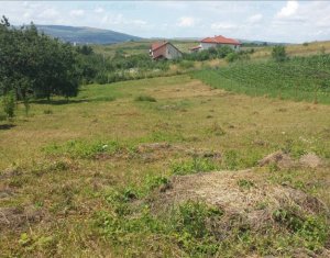 , 2052m2 dans Cluj-napoca, zone Borhanci