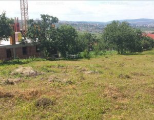 Terrain à vendre dans Cluj-napoca, zone Borhanci