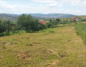 Terrain à vendre dans Cluj-napoca, zone Borhanci