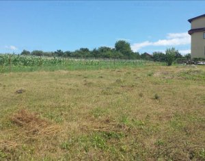 Terrain à vendre dans Cluj-napoca, zone Borhanci