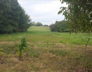 , 10100m2 on Cluj-napoca, Zóna Zorilor