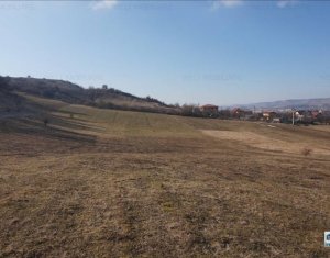 , 4000m2 on Floresti