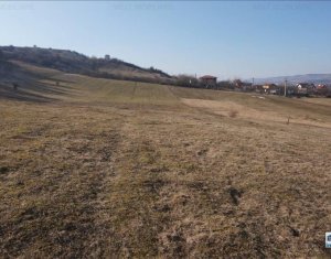 Telek eladó on Floresti