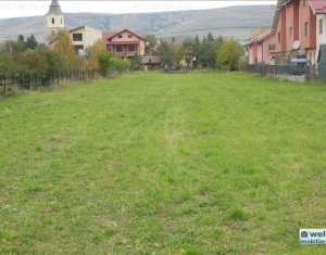 Terrain à vendre dans Floresti