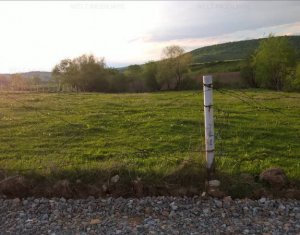 , 2500m2 on Gilau