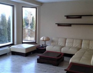 Ház 5 szobák kiadó on Cluj-napoca