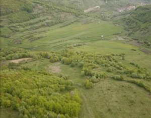 Telek eladó on Tauti