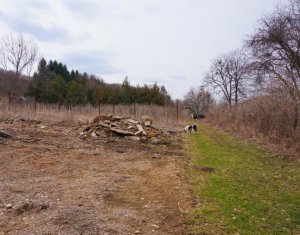 Telek eladó on Gilau