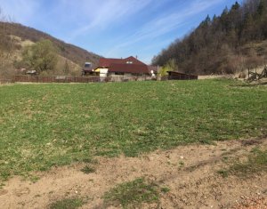 , 2500m2 on Tauti