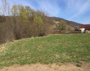 , 1200m2 on Tauti