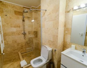 Lakás 1 szobák kiadó on Cluj-napoca, Zóna Intre Lacuri
