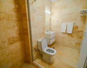 Lakás 1 szobák kiadó on Cluj-napoca, Zóna Intre Lacuri