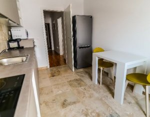 Appartement 2 chambres à louer dans Cluj-napoca, zone Intre Lacuri