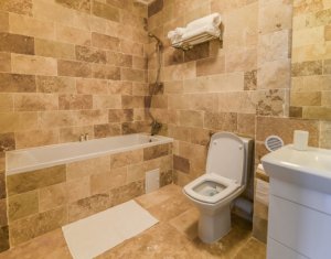 Appartement 2 chambres à louer dans Cluj-napoca, zone Gheorgheni