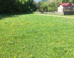 Terrain à vendre dans Somesu Rece
