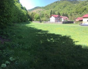 Terrain à vendre dans Somesu Rece