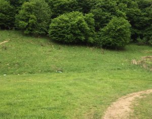 , 1100m2 dans Floresti