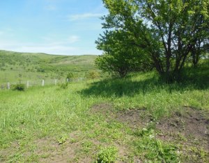 Terrain à vendre dans Cojocna, zone Centru