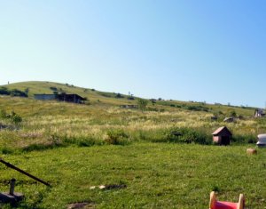 Telek eladó on Sannicoara