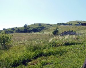 Telek eladó on Sannicoara