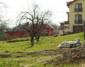 , 642m2 on Cluj-napoca, Zóna Iris