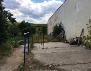 Espace Industriel à vendre dans Cluj-napoca, zone Baciu