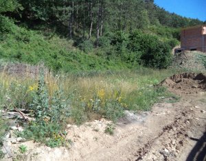 , 2200m2 dans Floresti
