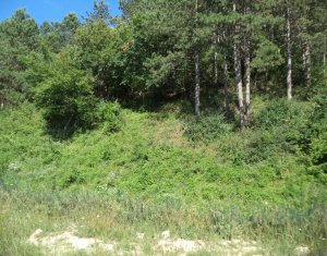 Terrain à vendre dans Floresti