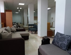 Espace Commercial à vendre, 583m2 dans Cluj-napoca, zone Bulgaria