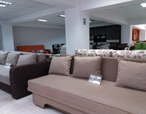 Espace Commercial à vendre dans Cluj-napoca, zone Bulgaria