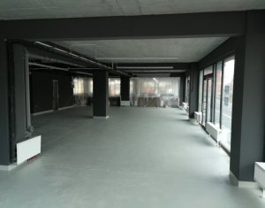 Espace Commercial à vendre dans Cluj-napoca, zone Marasti