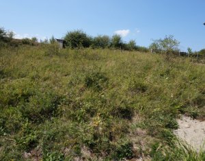 , 566m2 on Floresti