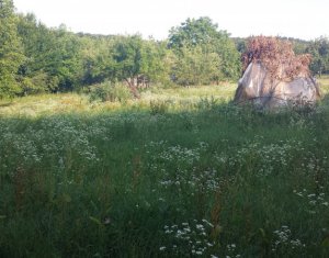 Telek eladó on Cluj-napoca, Zóna Faget