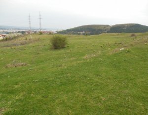 Telek eladó on Floresti