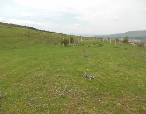 Telek eladó on Floresti