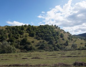 , 2254m2 on Tauti